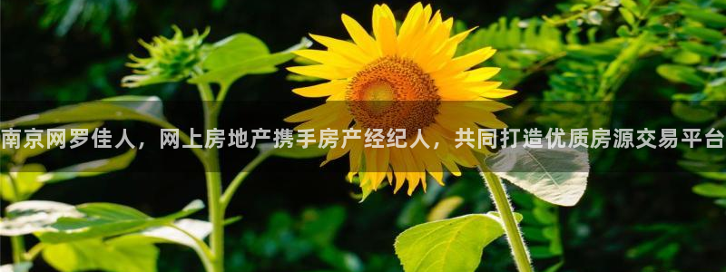 广州和德记官网：南京网罗佳人，网上房地产携手房产经纪人，共同