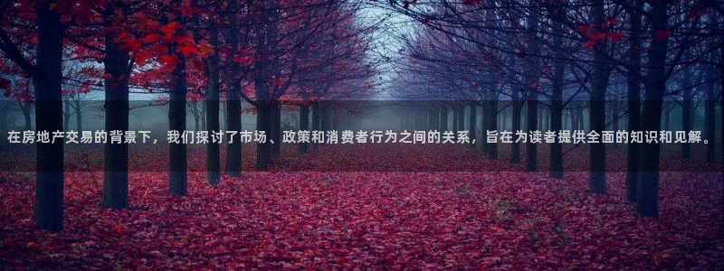 和记怡情官网电话：在房地产交易的背景下，我们探讨了市场、政策