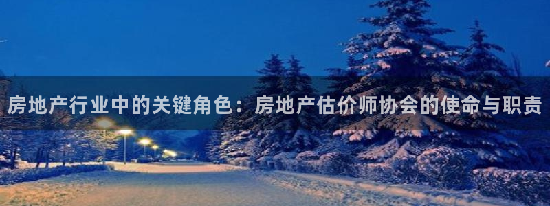 澳门和记电信官网：房地产行业中的关键角色：房地产估价师协会的