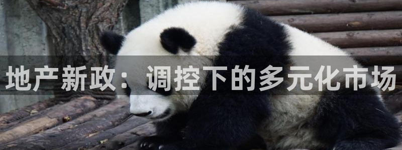 香港和记3台官网：地产新政：调控下的多元化市场