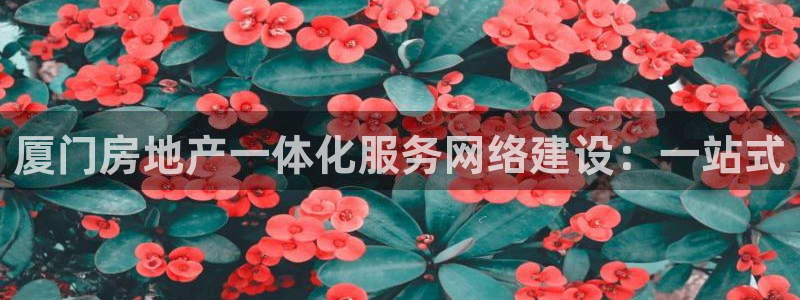 香港3和记官网：厦门房地产一体化服务网络建设：一站式