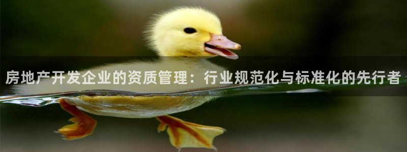 和记怡情博娱中国官网：房地产开发企业的资质管理：行业规范化与