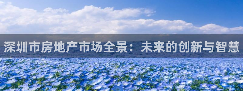 和记娱乐捕鱼官网：深圳市房地产市场全景：未来的创新与智慧