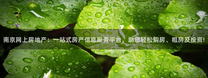香港和记集团官网：南京网上房地产：一站式房产信息服务平台，助