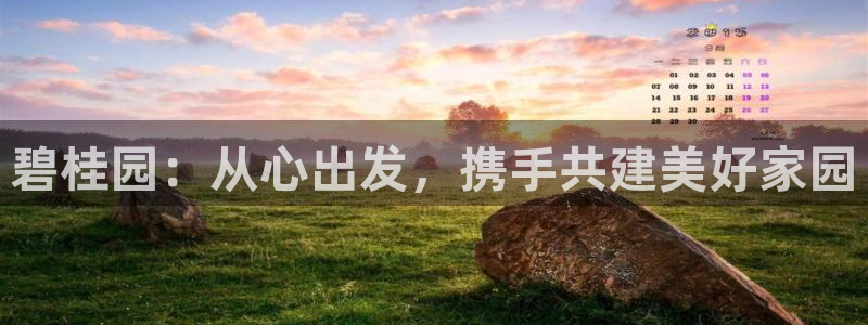 和记h88永久官网：碧桂园：从心出发，携手共建美好家园