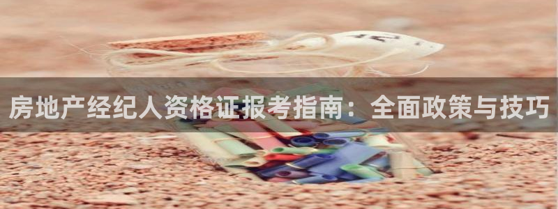 和记餐厅官网：房地产经纪人资格证报考指南：全面政策与技巧