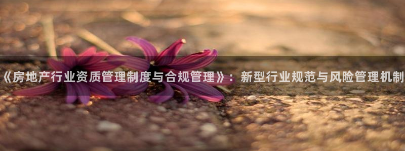 和记集团官网：《房地产行业资质管理制度与合规管理》：新型行业