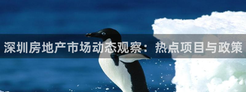 和木记手帕官网：深圳房地产市场动态观察：热点项目与政策