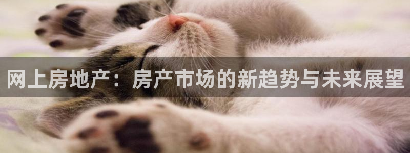 和记 官网：网上房地产：房产市场的新趋势与未来展望