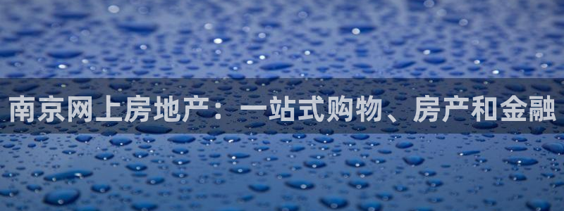 和记官网注册：南京网上房地产：一站式购物、房产和金融