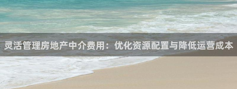 和记集团官网：灵活管理房地产中介费用：优化资源配置与降低运营