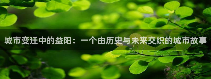 和记电讯3官网：城市变迁中的益阳：一个由历史与未来交织的城市