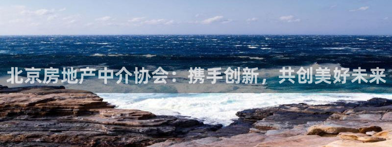 果博官网和记：北京房地产中介协会：携手创新，共创美好未来