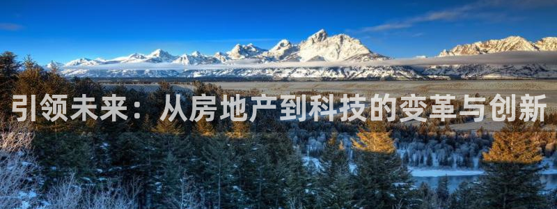 和记一品官网：引领未来：从房地产到科技的变革与创新