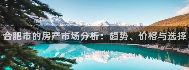 和记增值官网：合肥市的房产市场分析：趋势、价格与选择