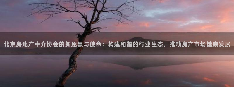 长江和记官网：北京房地产中介协会的新愿景与使命：构建和谐的行