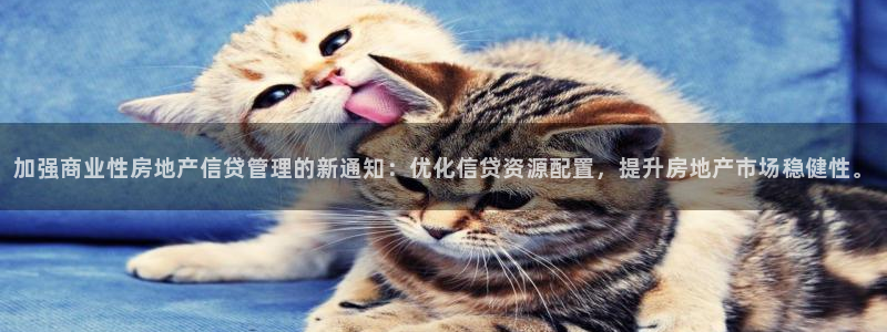 和记娱乐怡情博娱官网：加强商业性房地产信贷管理的新通知：优化