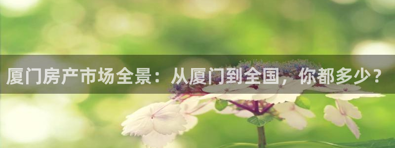 和记3电讯官网：厦门房产市场全景：从厦门到全国，你都多少？