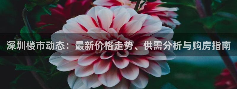 和记奥普泰 官网：深圳楼市动态：最新价格走势、供需分析与购房