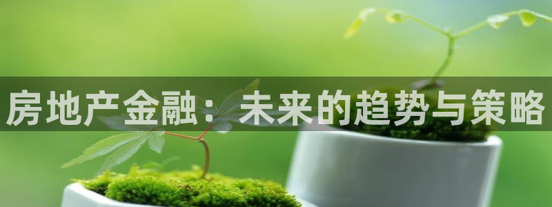 和记黄埔武汉官网：房地产金融：未来的趋势与策略
