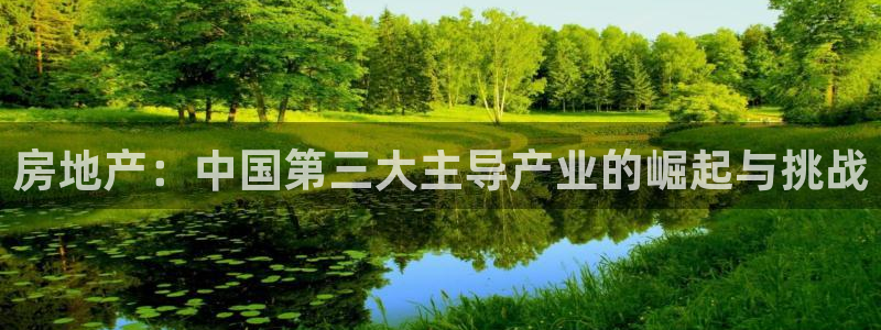 和记电讯 官网：房地产：中国第三大主导产业的崛起与挑战
