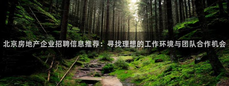 和记官网客户端：北京房地产企业招聘信息推荐：寻找理想的工作环
