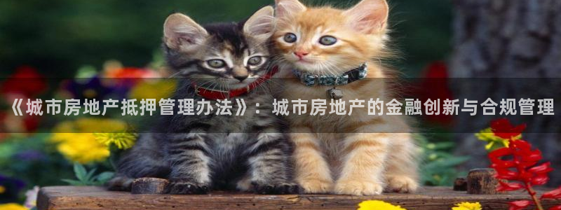 上海和记官网：《城市房地产抵押管理办法》：城市房地产的金融创