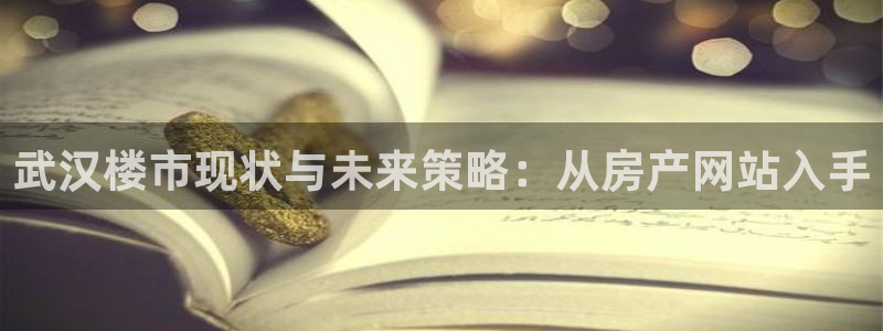 和记万佳国际家居城官网：武汉楼市现状与未来策略：从房产网站入