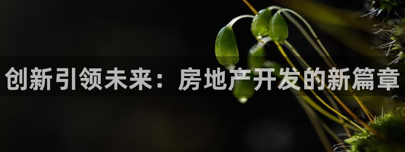 和记电官网：创新引领未来：房地产开发的新篇章
