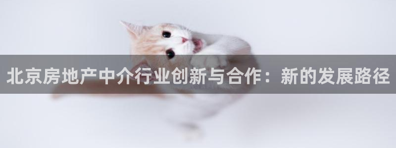 和记娱乐怡情官网：北京房地产中介行业创新与合作：新的发展路径