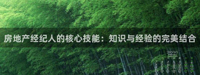 hgc和记官网：房地产经纪人的核心技能：知识与经验的完美结合