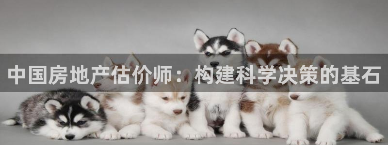 香港和记3台官网：中国房地产估价师：构建科学决策的基石