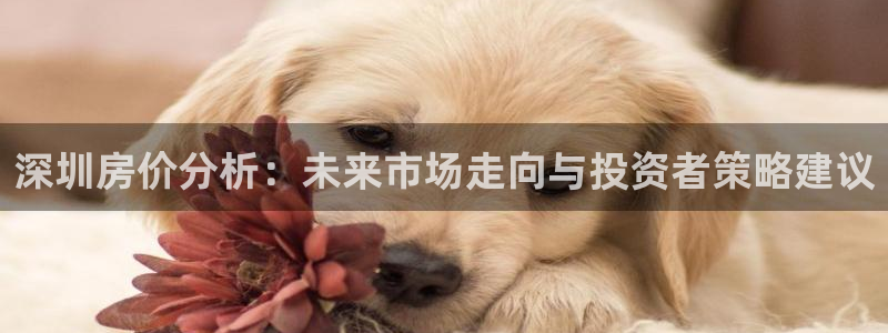 和记娱答疑h88285官网：深圳房价分析：未来市场走向与投资