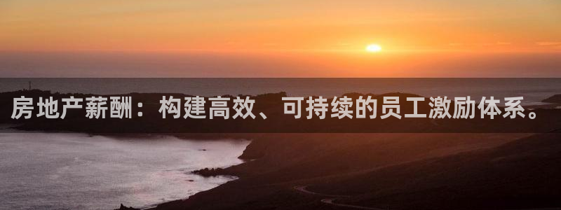 和记官网app是谁的：房地产薪酬：构建高效、可持续的员工激励