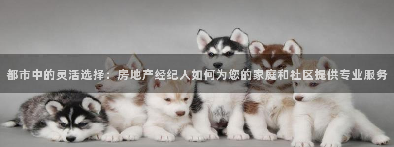 和记怡情官网：都市中的灵活选择：房地产经纪人如何为您的家庭和