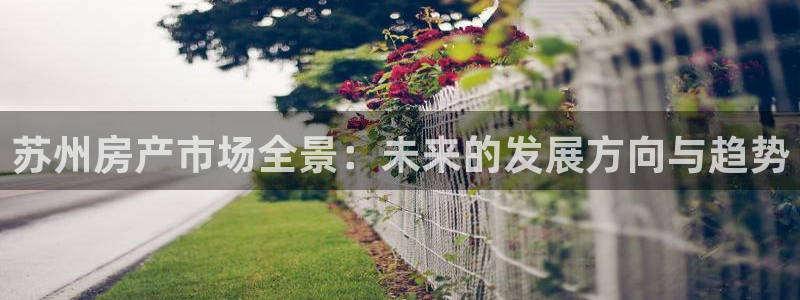 和记娱乐网官网：苏州房产市场全景：未来的发展方向与趋势