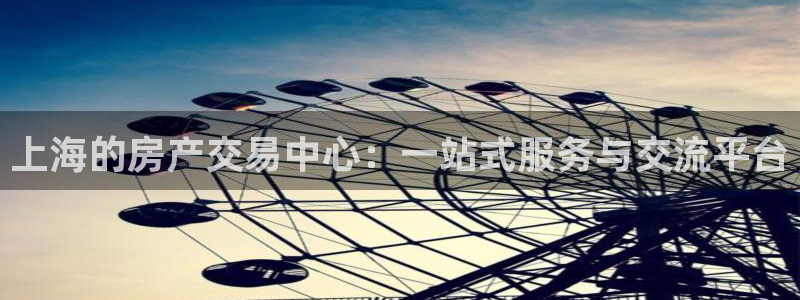 和记茶餐厅官网：上海的房产交易中心：一站式服务与交流平台