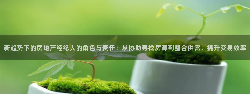 和记官网是一个什么平台：新趋势下的房地产经纪人的角色与责任：