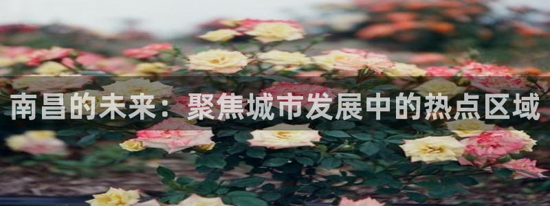 和记中国官网：南昌的未来：聚焦城市发展中的热点区域