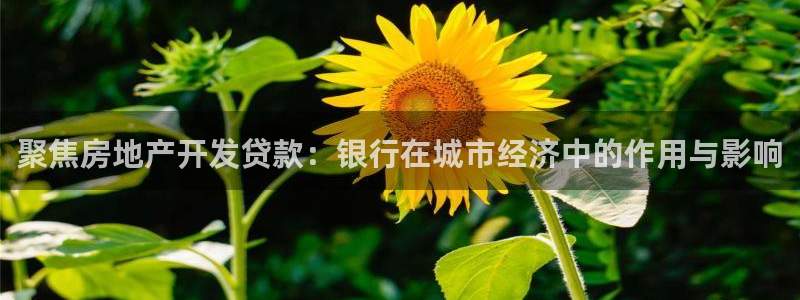 和记电讯澳门官网：聚焦房地产开发贷款：银行在城市经济中的作用