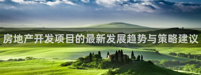 和记平台网站官网：房地产开发项目的最新发展趋势与策略建议