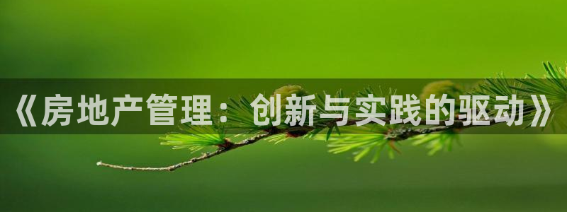 和记h188怡情官网：《房地产管理：创新与实践的驱动》