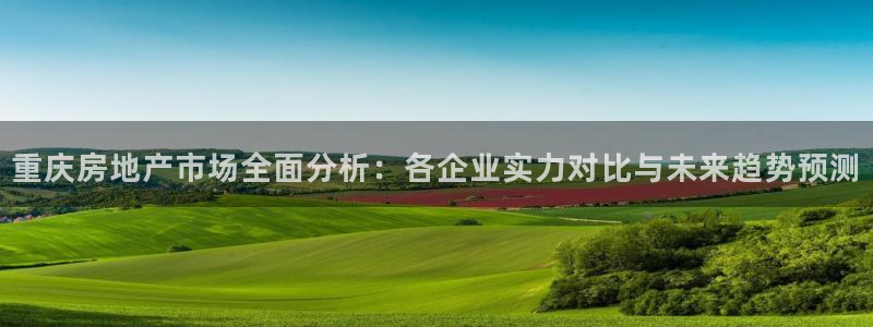 和记黄埔公司官网：重庆房地产市场全面分析：各企业实力对比与未