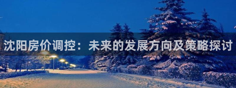 和记黄埔上海官网：沈阳房价调控：未来的发展方向及策略探讨