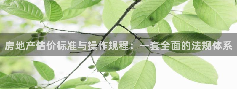 官网和记通讯：房地产估价标准与操作规程：一套全面的法规体系