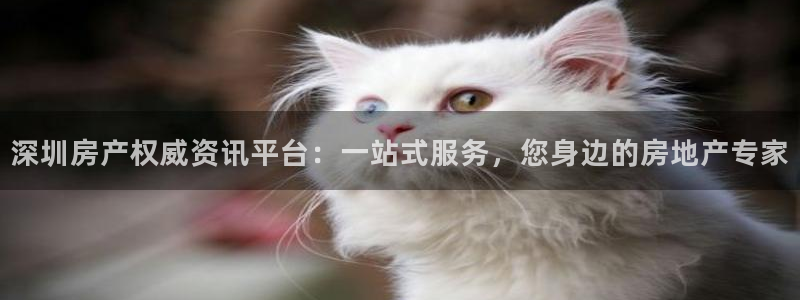 和记餐厅官网：深圳房产权威资讯平台：一站式服务，您身边的房地