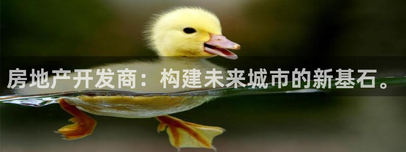 和记h88官网登陆：房地产开发商：构建未来城市的新基石。