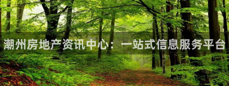 和记黄埔官网：潮州房地产资讯中心：一站式信息服务平台