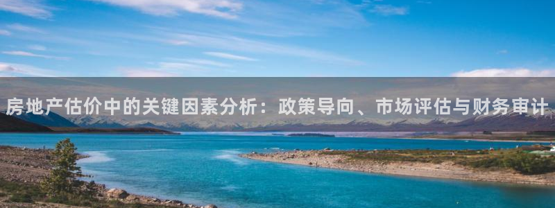 和记3电讯 官网：房地产估价中的关键因素分析：政策导向、市场