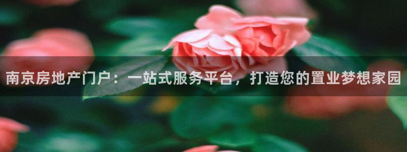 和记国际平台官网：南京房地产门户：一站式服务平台，打造您的置